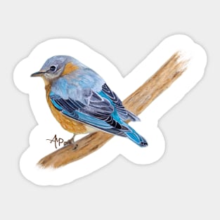 Little Bluebird Sticker